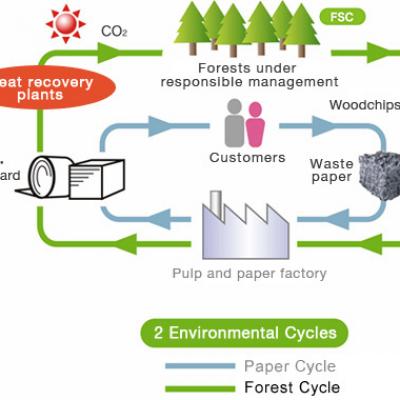Chứng nhận bảo vệ rừng FSC